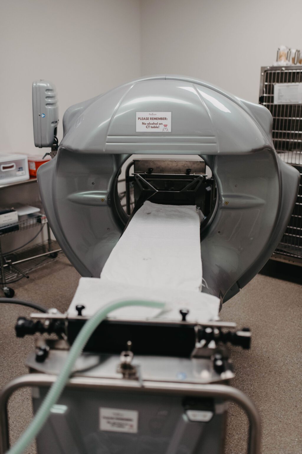 Veterinary Diagnostic Imaging Roseville CA MarQueen Pet Emergency