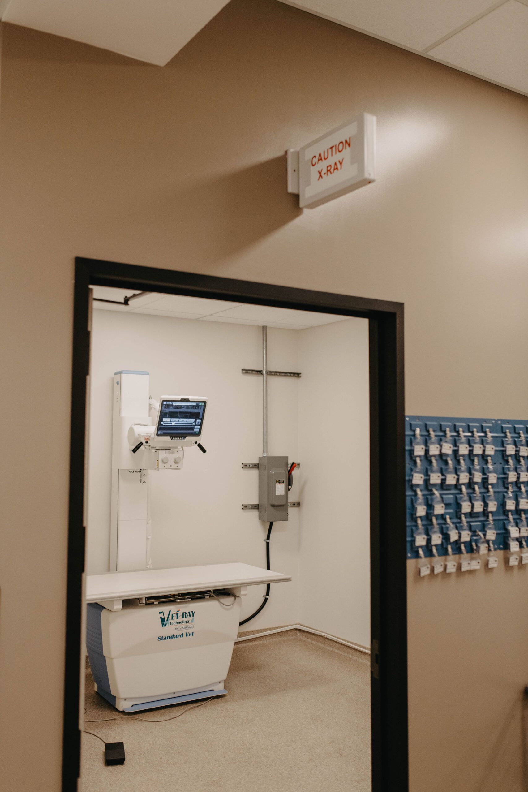 Veterinary Diagnostic Imaging Roseville CA MarQueen Pet Emergency